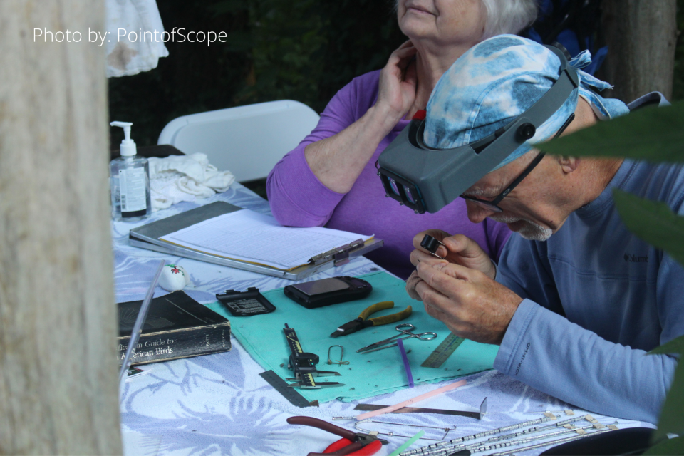 Certified Master Bird Bander Mark Armstrong demonstrates bird banding at Ijams Nature Center’s annual Hummingbird Festival. This year he will band a variety of birds and explain the importance of the practice while viewers get “up close and personal” with the tiny creatures. August 2022