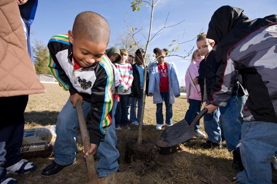 Florida Arbor Day lands on Jan. 21 this year, an ideal time to plant a tree in Leon County. Shown here is a file photo of Arbor Day in Baker County.