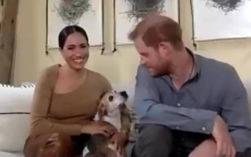 Meghan and Harry were joined by dog Guy for part of the interview - Evening Standard