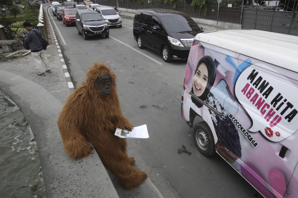 In this Friday, March 1, 2019, an activist in an orangutan suit stands on a roadside during a protest against the construction of a Chinese-backed dam that they claimed will rip through the habitat of the most critically endangered orangutan species in Medan, North Sumatra, Indonesia. A state administrative court in North Sumatra's capital, Medan, ruled that the construction can continue despite critics of the 510-megawatt hydro dam providing evidence that its environmental impact assessment was deeply flawed. (AP Photo/Binsar Bakkara)