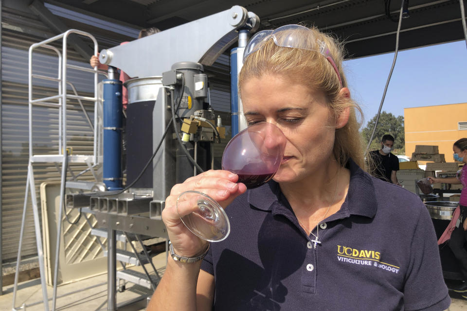 Anita Oberholster, enology epecialist at the University of California, Davis, tests the nose of a freshly pressed wine at the university's Department of Viticulture and Enology in Davis, Calif. UC Davis is researching the effects wildfire smoke has on grapes and what can be done to address the increasing problem of smoke damage in the wine industry. (AP Photo/Haven Daley)