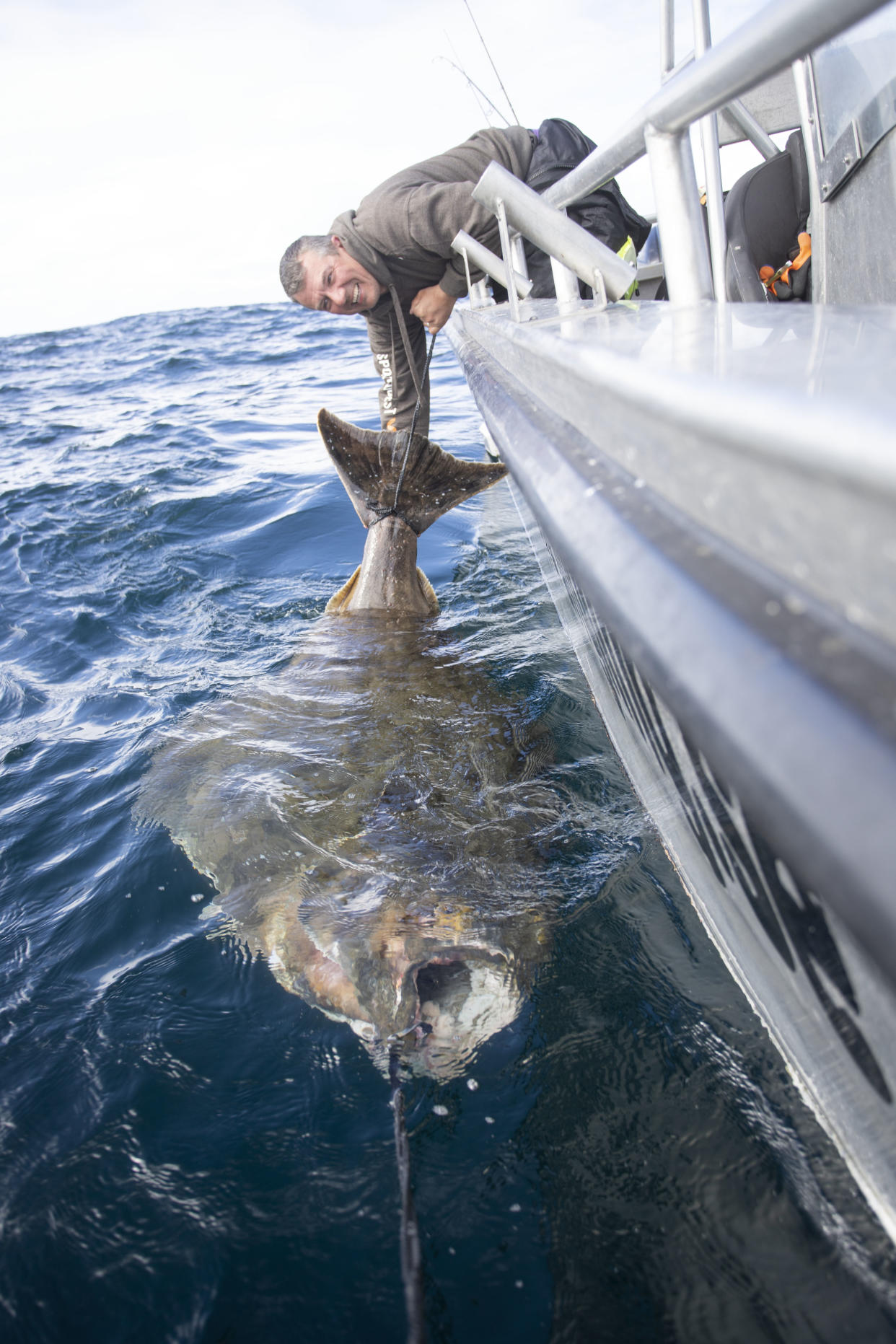 BNPS.co.uk (01202) 558833. 
Pic: SportquestHolidays/BNPS

Pictured: Angler Paul Stevens with the halibut 

Angler Paul Stevens is celebrating today after landing the biggest ever halibut fish caught by a Brit.

Paul, 45, reeled in the monster flat fish from off the seabed 200ft down.

When he got it alongside his boat it measured almost 7.5ft long and was found to weigh a whopping 400lbs.