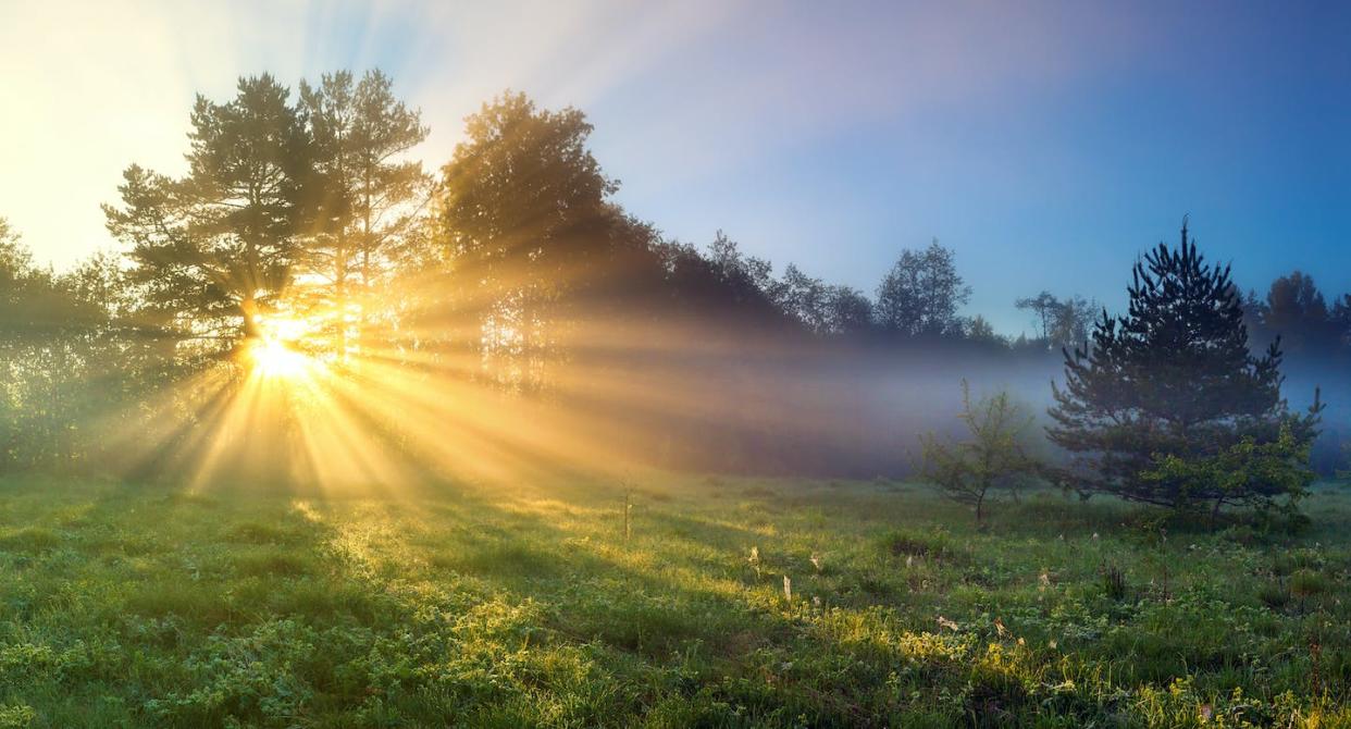 <a href="https://www.shutterstock.com/es/image-photo/beautiful-panorama-landscape-sun-forest-meadow-1099386764" rel="nofollow noopener" target="_blank" data-ylk="slk:Shutterstock / yanikap;elm:context_link;itc:0;sec:content-canvas" class="link ">Shutterstock / yanikap</a>