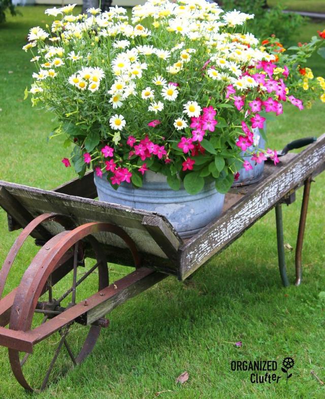 Old Coffee Pot Upcycled As A Flower Pot - Organized Clutter