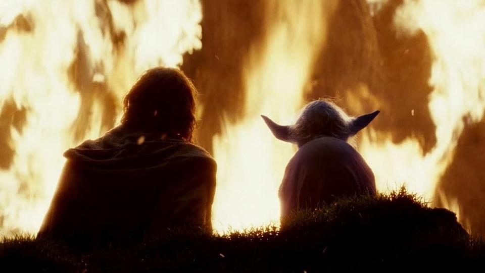 From behind we see Luke Skywalker and Yoda watching a tree burn in The Last Jedi