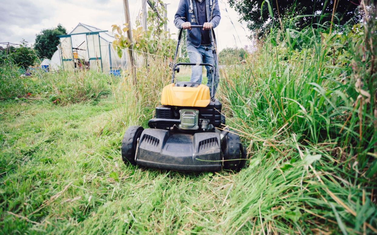  National Grid will create energy from grass in the first scheme of its kind.  - Getty Images Contributor