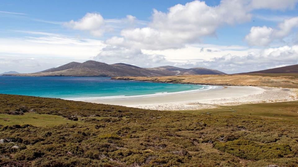 A picture of a beach in the Falkland Islands, Argentina