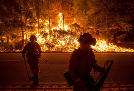 Firefighters battling the King Fire watch as a backfire burns along Highway 50 in Fresh Pond, California September 16, 2014. REUTERS/Noah Berger