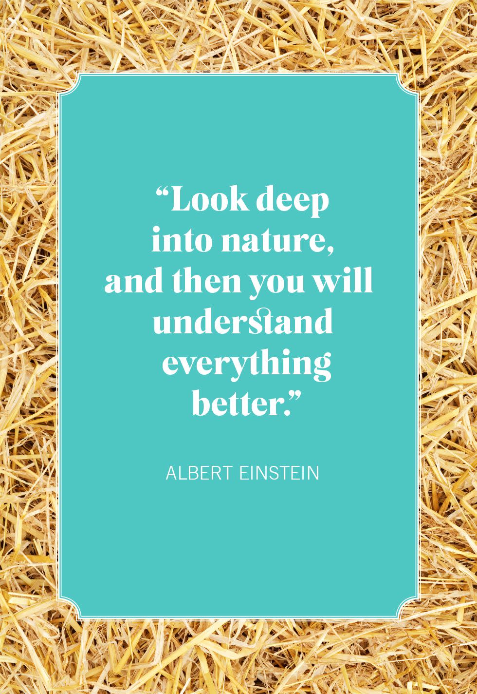 nature quotes albert einstein