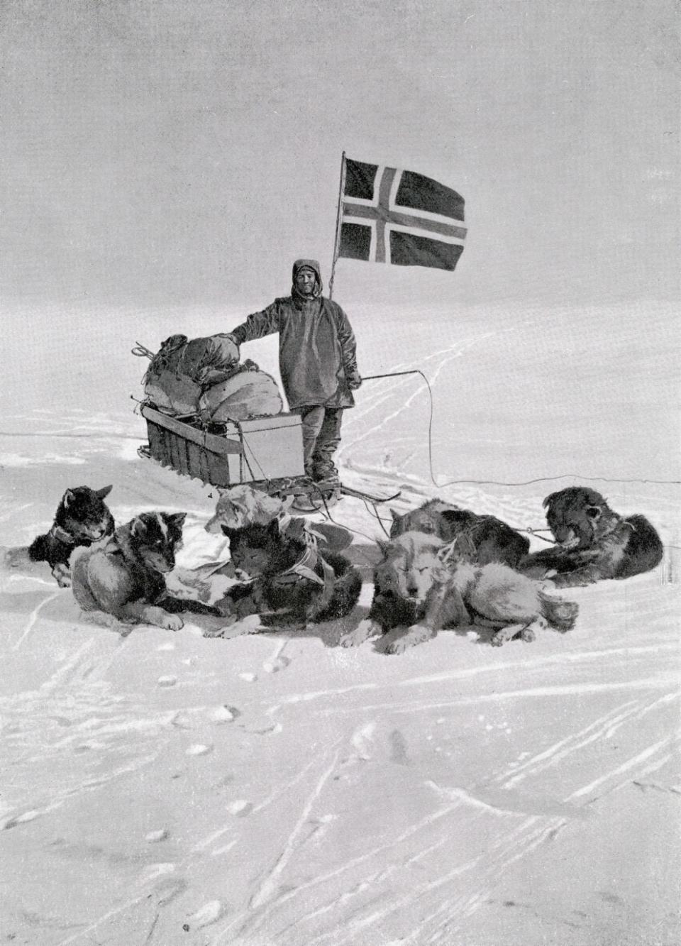 <div class="inline-image__caption"><p>Captain Roald Amundsen at the South pole under the Norwegian flag, 1912</p></div> <div class="inline-image__credit">Universal History Archive/Getty</div>