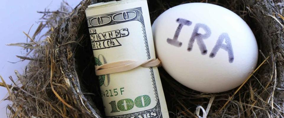 Nest with money and egg with IRA on it