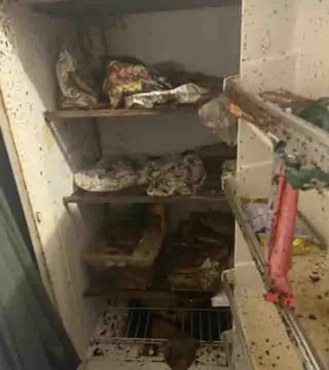 broken fridge with moldy food and bugs