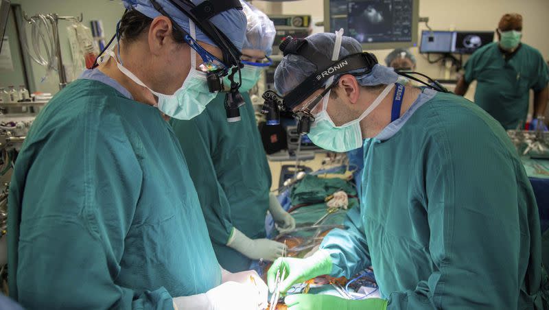 In this photo provided by Duke Health, surgeons Dr. Jacob Schroder, left, and Dr. Zachary Fitch perform a heart transplant at Duke University Hospital in Durham, N.C., in October 2022. Most transplanted hearts are from donors who are brain-dead, but research published by Duke Health on Wednesday, June 7, 2023, shows a different approach can be just as successful and boost the number of available organs. It’s called donation after circulatory death, a method long used to recover kidneys and other organs but not more fragile hearts.