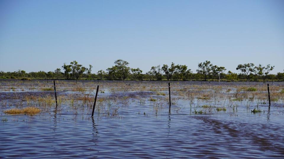 A positive result was found during routine testing in the Menindee in December. Picture: Supplied