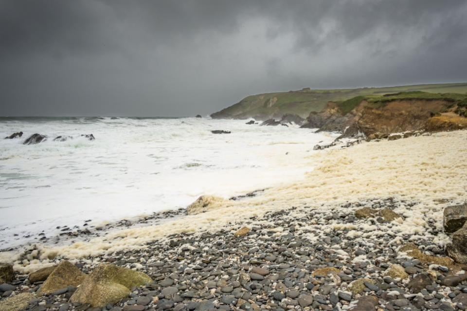 Falmouth Packet: The beach at Gunwalloe was covered in sea foam