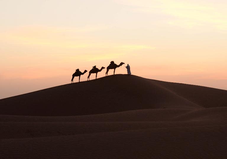 A man walks on a sand dune with his camels in Mhamid el-Ghizlane, in the Moroccan southern Sahara desert, on March 16, 2014