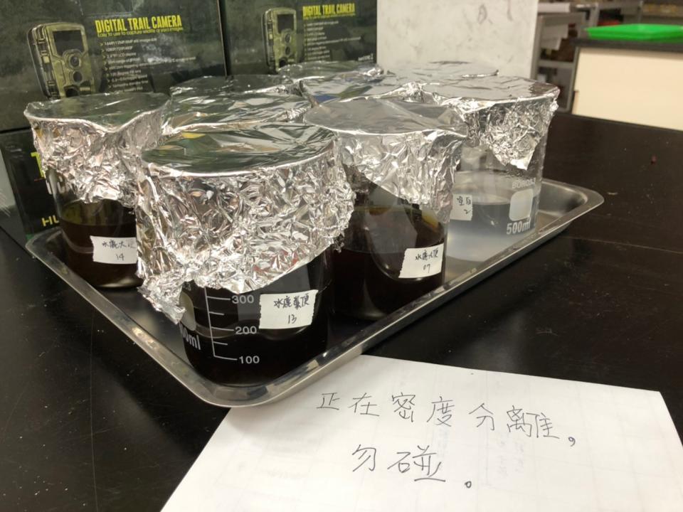 綠色和平採集到的臺灣水鹿排遺樣本，於實驗室進行微塑膠檢測。