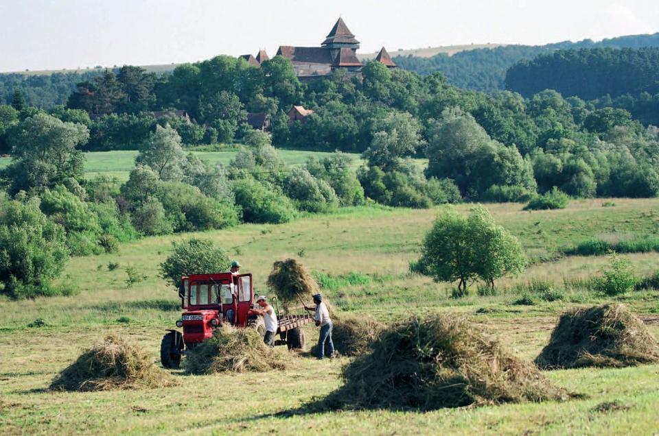 This undated handout photo provided by Fundatia ADEPT Transilvania shows a scene of rural life from the Transylvania region of Romania. The area is drawing tourists, including Prince Charles, who has championed local farms for their economic potential and environmental sustainability. (AP Photo/Fundatia ADEPT Transilvania)