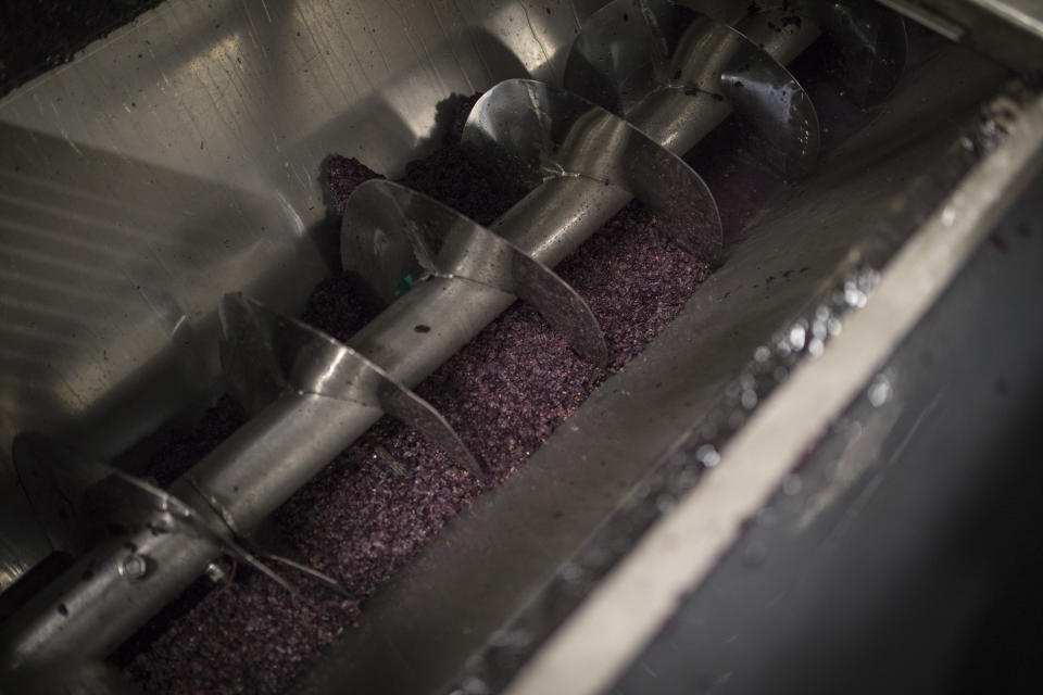 Grapes from a recent harvest are processed in the southern France region of Provence, Friday Oct. 11, 2019. European producers of agricultural products like French wine, are facing a U.S. tariff hike on Friday, because of illegal EU subsidies to the aviation giant Airbus, with dollars 7.5 billion duties on a range of European goods selectively chosen to hit premium specialty items.(AP Photo/Daniel Cole)