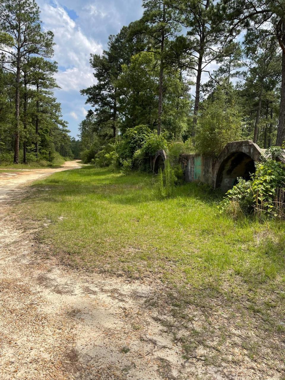 An old ammunition bunker is all that remains of a U.S. Navy base in Saucier that once housed Axis prisoners of war on the Mississippi Coast. The camp inspired the name behind P.O.W. Lake Recreation Area in De Soto National Forest. Allen Frazier.