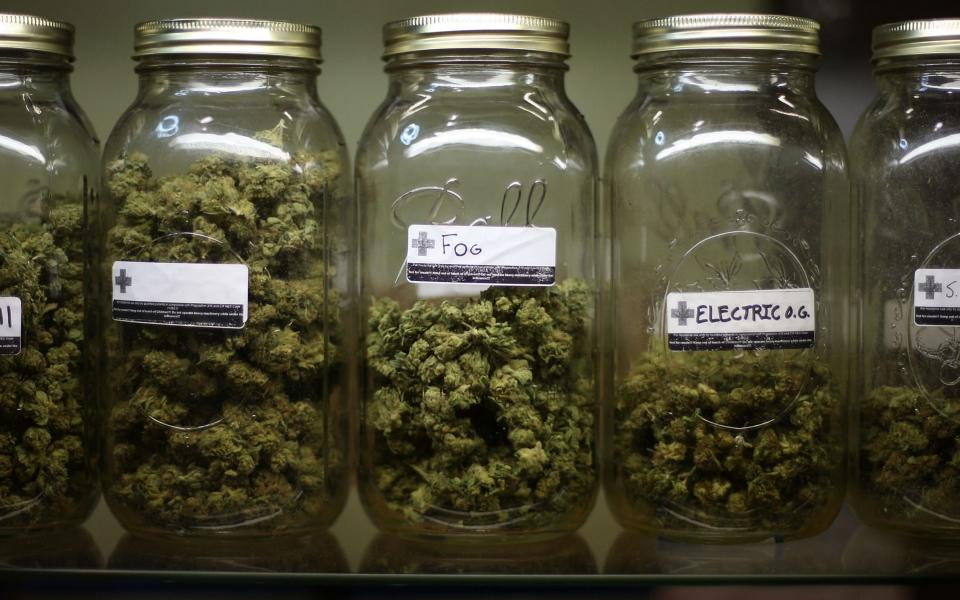 A non-profit co-operative medical marijuana dispensary in Los Angeles - Credit: Getty