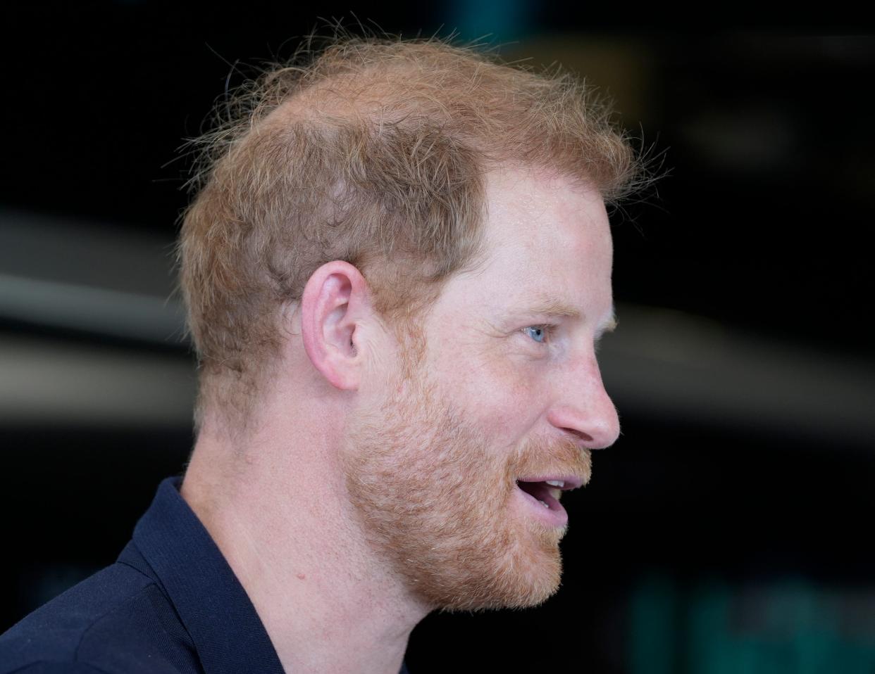 Prince Harry, Duke of Sussex