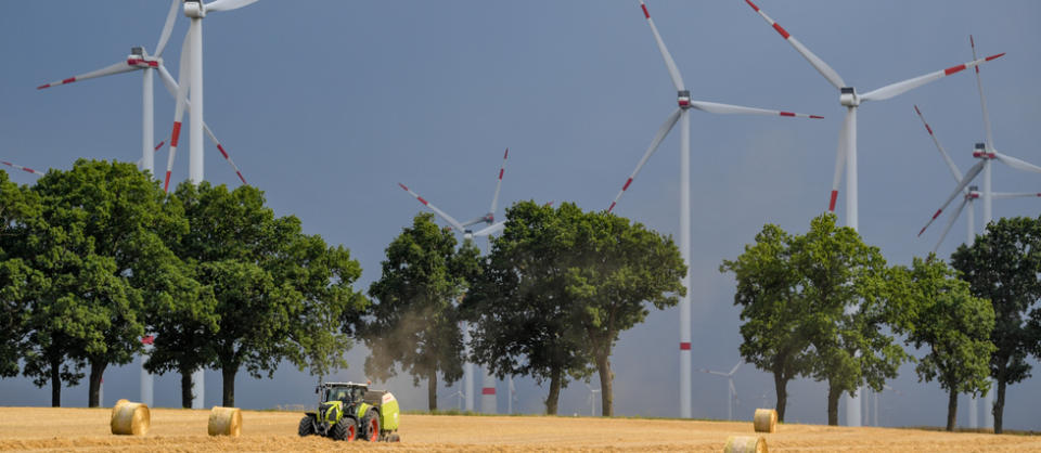 Champ d'éoliennes en Allemagne. La  filière emploie un peu plus d'un million de personnes dans le monde. Ce nombre pourrait être doublé d'ici 2024.
