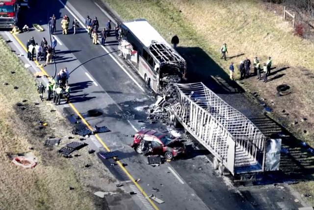 Police Say A Cicada Is Responsible For A Car Crash In Ohio