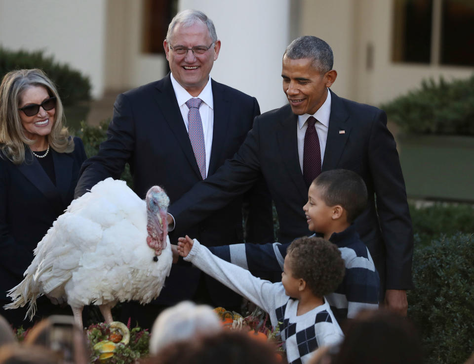 Obama pardons ‘Tot’, the National Thanksgiving turkey