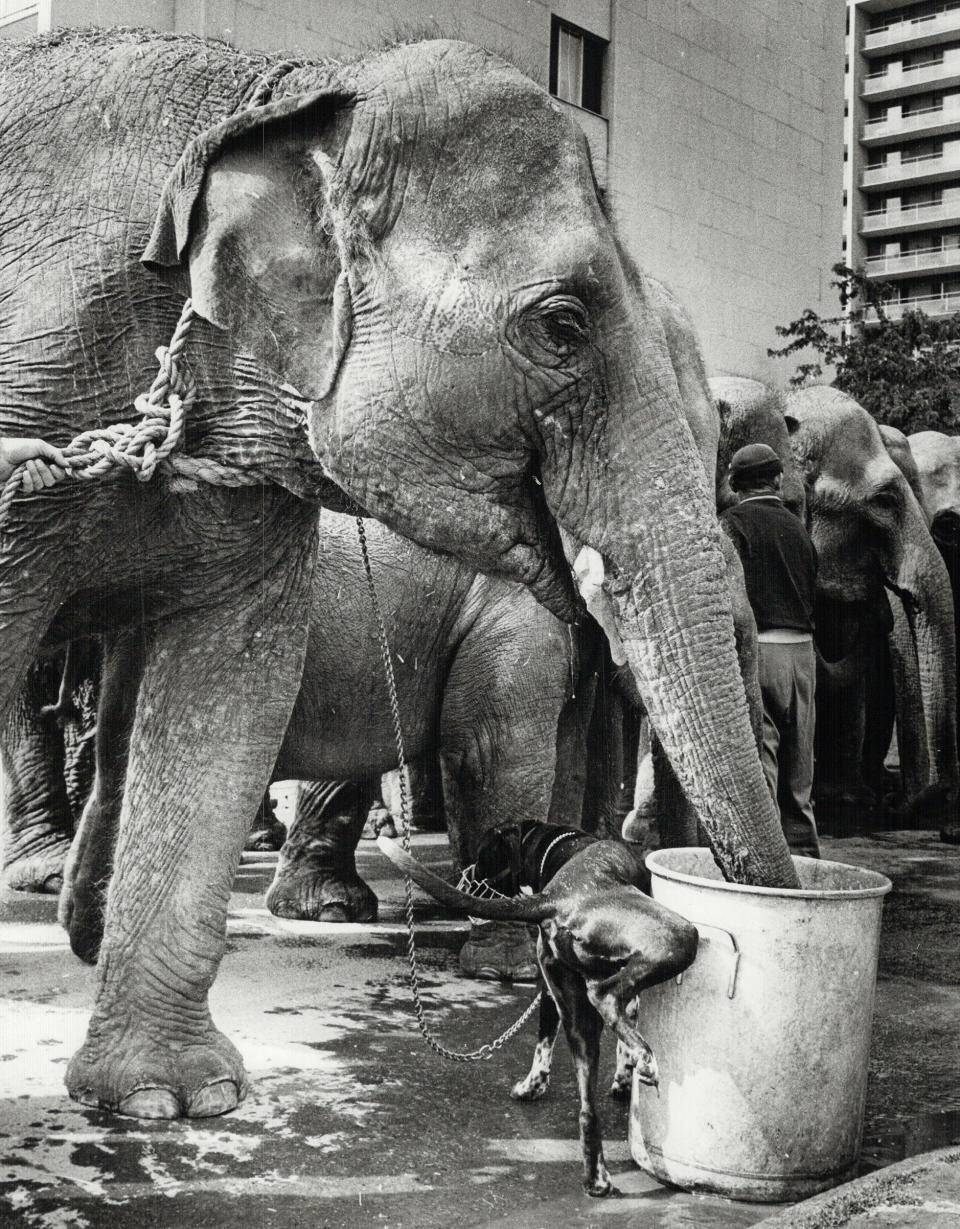 World press photo winner in feature class at Hague; Holland 1966 1st prize; Gold Medal.