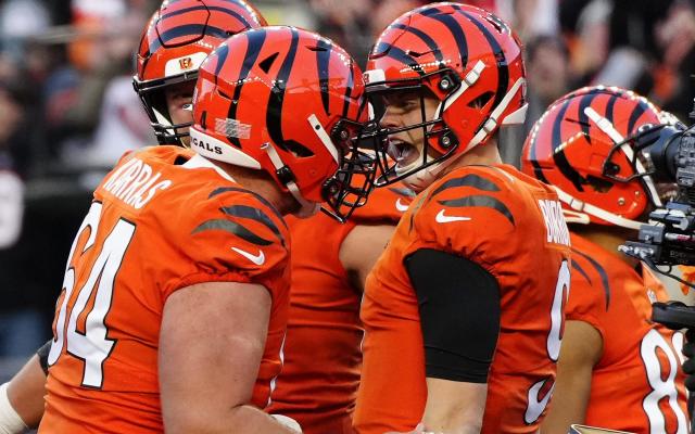 bengals to win super bowl