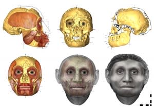 Anthropologist Susan Hayes used forensic techniques to recreate the face of the Homo floresiensis individual known as LB1 from her 18,000-year-old skull. Image: Susan Hayes