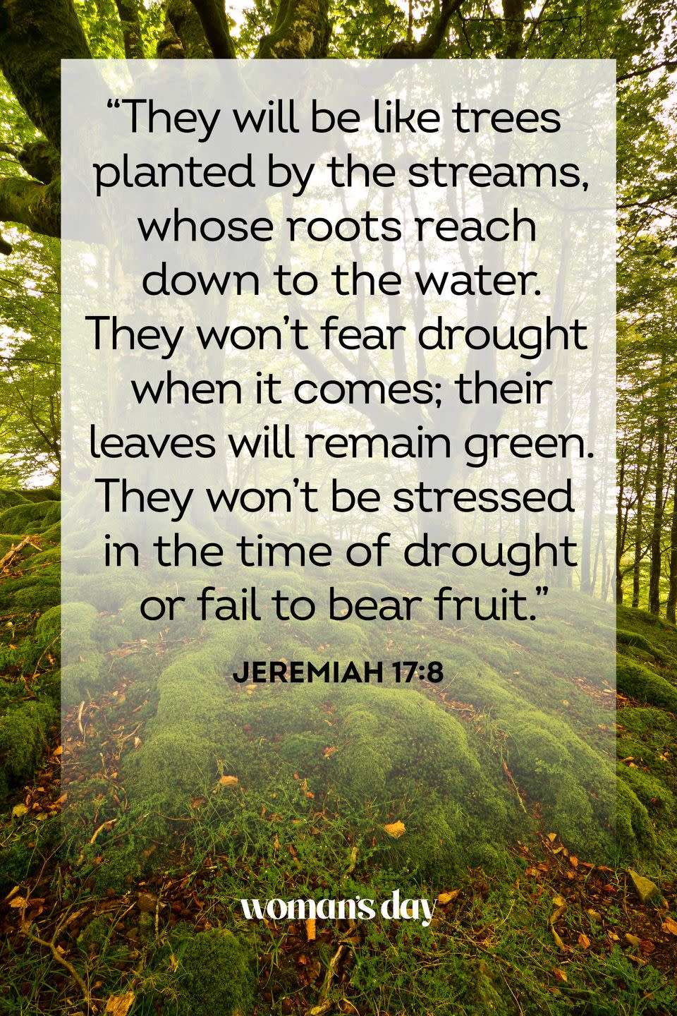 bible verses about anxiety jeremiah 17 8