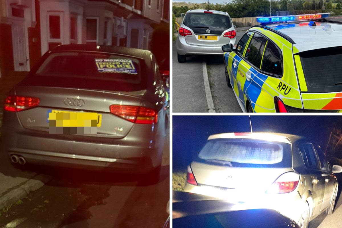 Cars stopped by police with drivers punished <i>(Image: Wiltshire Police)</i>