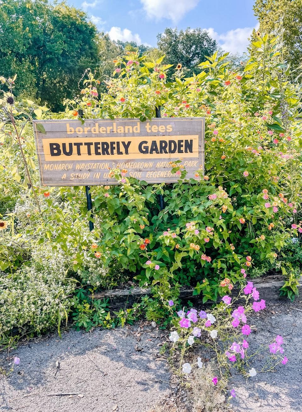 Borderland Tees’ Butterfly Garden inspired South Knoxville Elementary School’s own butterfly waystation. Aug. 9, 2022