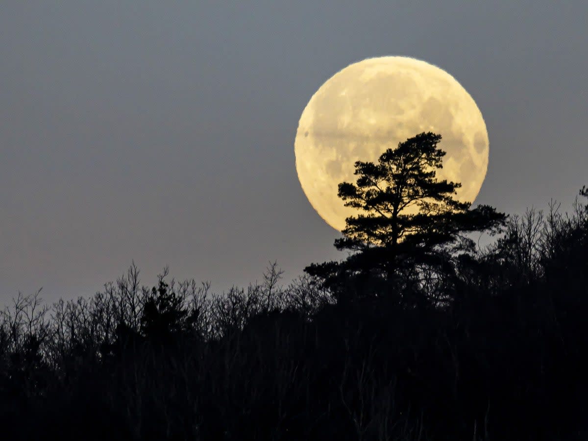 The Full Worm Moon in March peaks on Tuesday, 7 March, 2023 (Getty Images/ iStock)