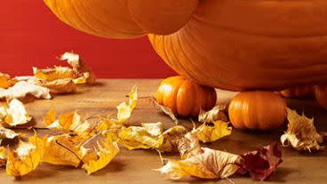 Pumpkin, Calabaza, Vegetable, Still life photography, Still life, Carving, Gourd, Plant, Winter squash, Cucurbita, 