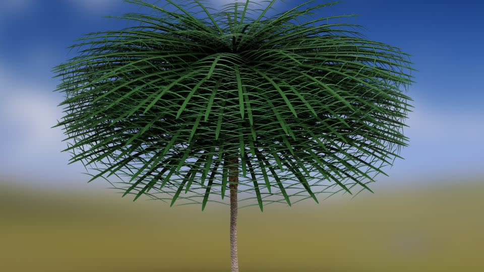 This model rendering of the newly discovered Sanfordiacaulis tree includes simplified branching structure for easier visualization. - Courtesy Tim Stonesifer