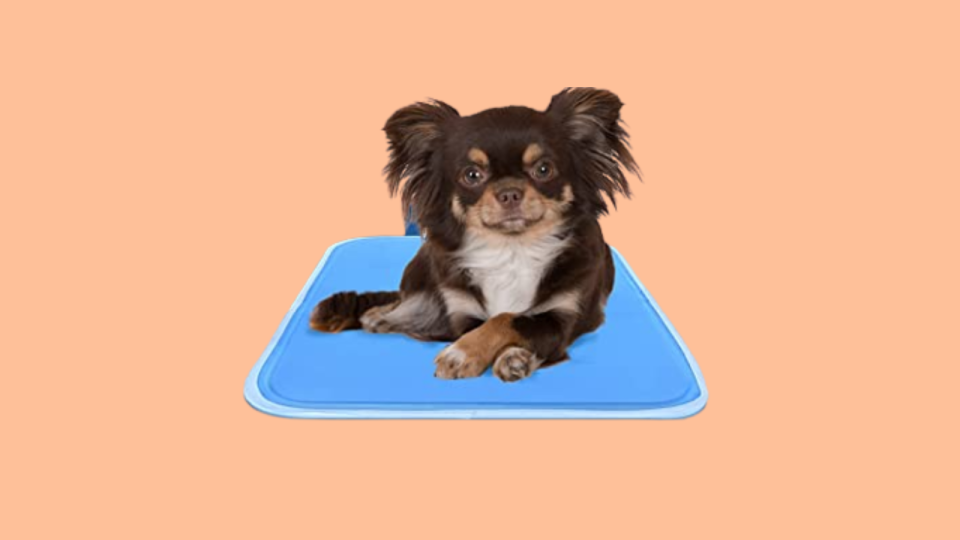 Keep your best friend comfortable with a cooling mat.