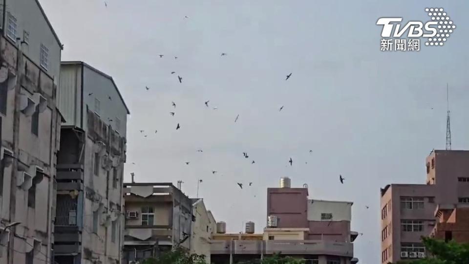 當天雲層較厚。（圖／林先生提供授權）