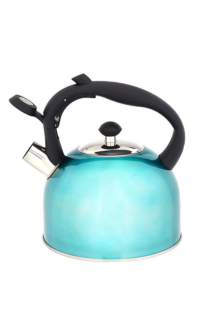 1) Stainless Steel Tea Kettle, 2.4-Quart