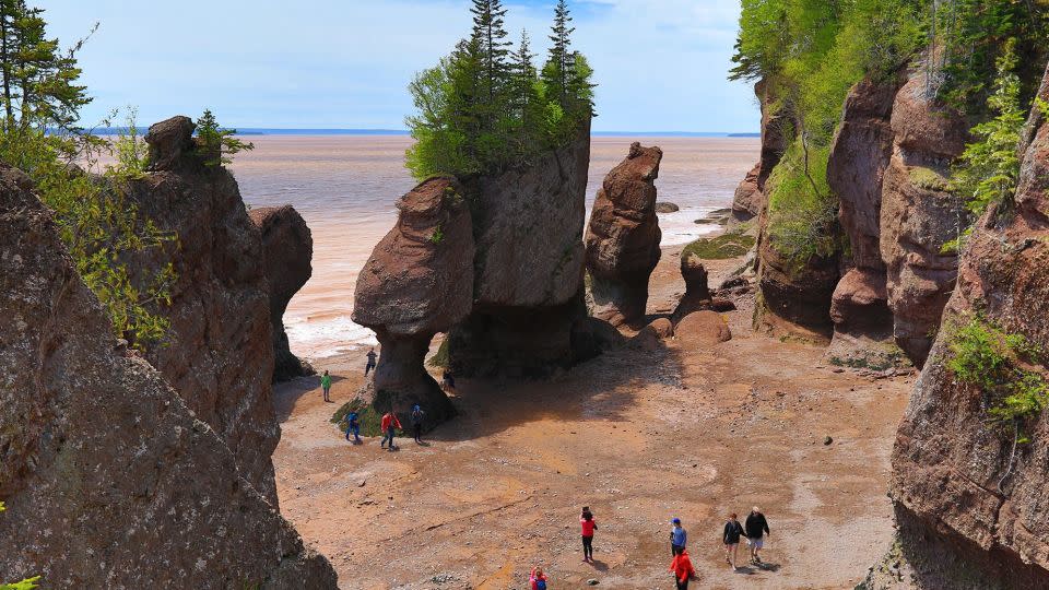 Tourists walk among the Hopewell Rocks at low tide along the Bay of Fundy. - Eric Carr/Alamy