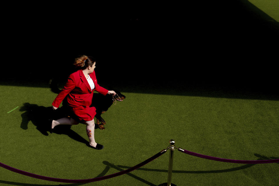 A handler runs with a dog during breed group judging at the 148th Westminster Kennel Club Dog show, Monday, May 13, 2024, at the USTA Billie Jean King National Tennis Center in New York. (AP Photo/Julia Nikhinson)