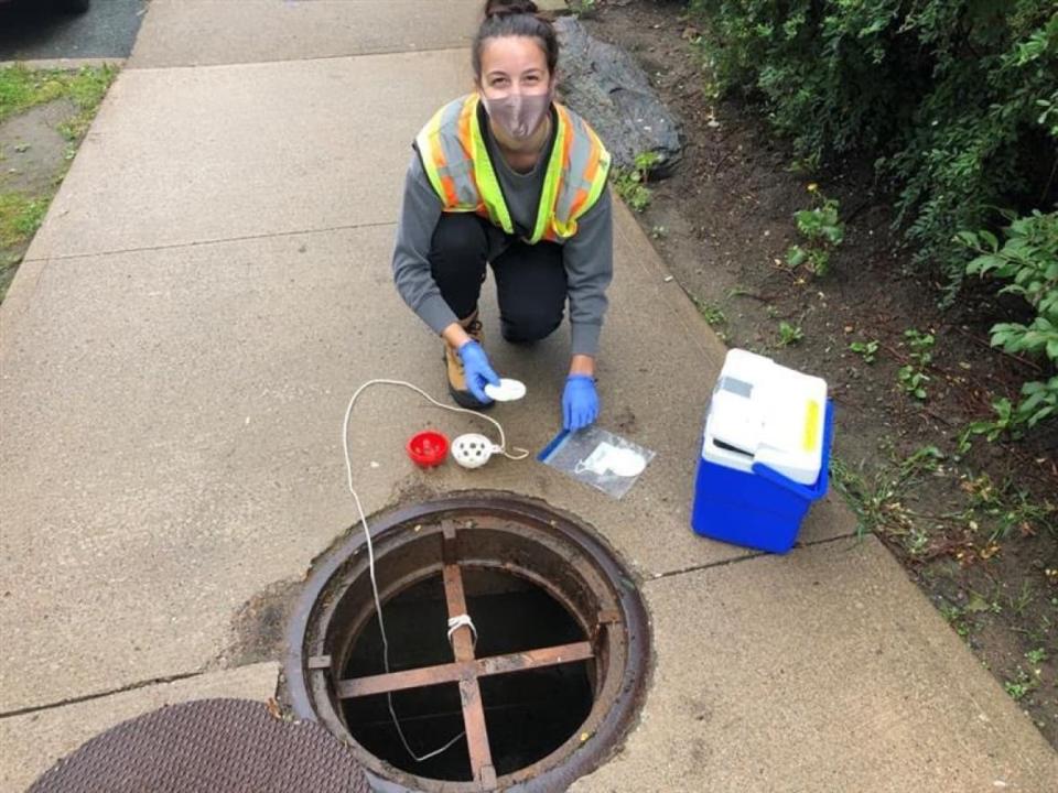 Researcher Gen Erjavec prepares the testing device at a sewer outside Sheriff Hall, a residence at Dalhousie University. (Submitted by Graham Gagnon - image credit)