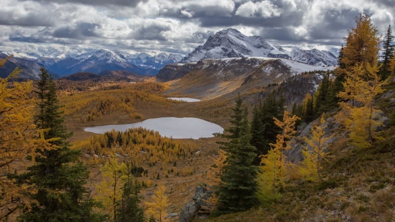 Canada's already booming mountain parks brace for 2017, when entry will be free