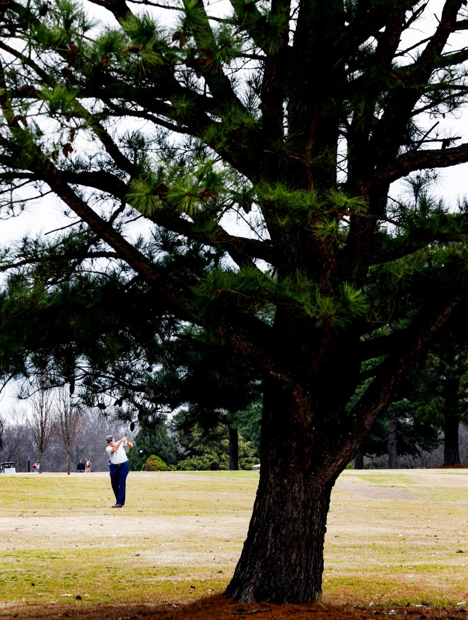 Golfers take part in a seniors tournament at Audubon Golf Course.