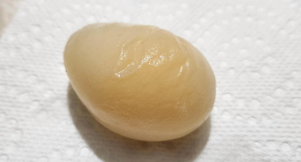 Chicken egg with no shell