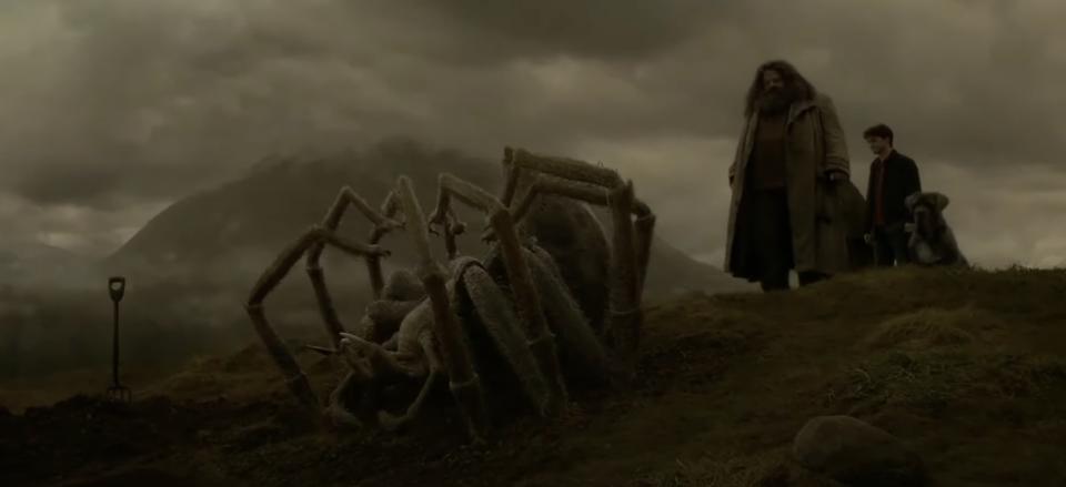 I hate spiders, but Hagrid loved Aragog a lot.