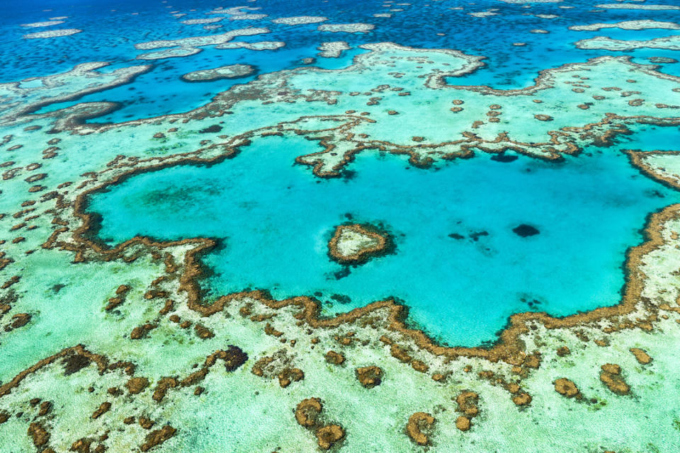 <p> Almost 3,000 individual&#xA0;reefs&#xA0;make up the biggest coral system in the world. It&#x2019;s home to 1,500 fish species, a third of the world&#x2019;s soft coral and six of the world&#x2019;s seven species of sea turtle. It was established as a World Heritage Site in 1981, and restrictions on fishing and tourism were put in place.&#xA0; </p> <p> Sadly, the&#xA0;Great Barrier Reef&#xA0;has lost half its coral since 1985. The damage is happening so fast scientists can&#x2019;t keep up. Corals have died off because of pollution, invasive species and a process called&#xA0;coral bleaching, according to&#xA0;Science&#xA0;magazine. The water on the planet is simply getting too warm for corals to survive but, according to an article published by&#xA0;Nature&#xA0;on Nov. 27, 2019, scientists are protecting the more resilient reefs while nursing others back to health. </p>