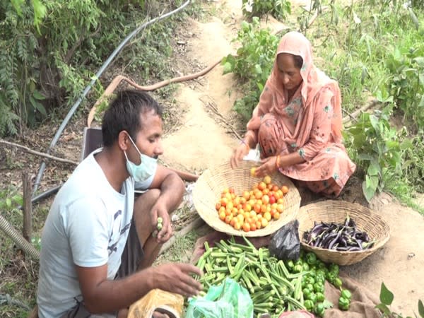 Visual of Vijay Kumar Verma, a farmer from panchayat Chatrari sorting his produce (Photo/ANI)